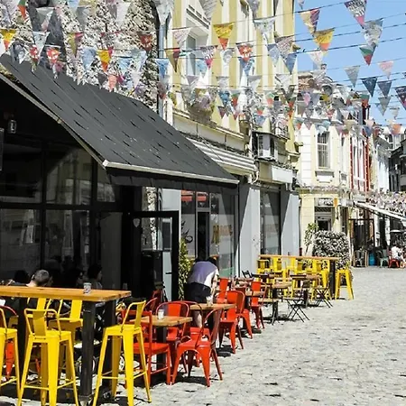 Sunflower Center * Filibe