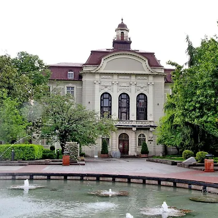 Sunflower Center * Filibe