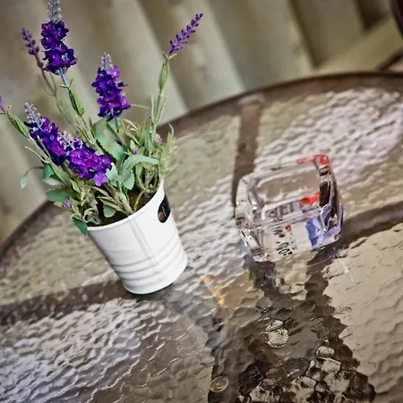 Daire Sunflower Center