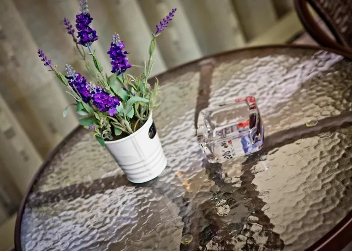 Lejlighed Sunflower Center