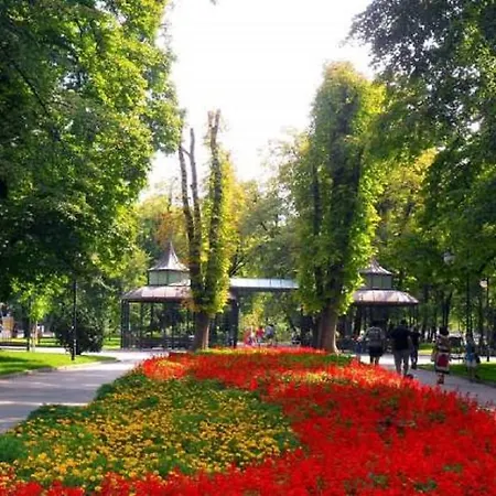 Sunflower Center *
